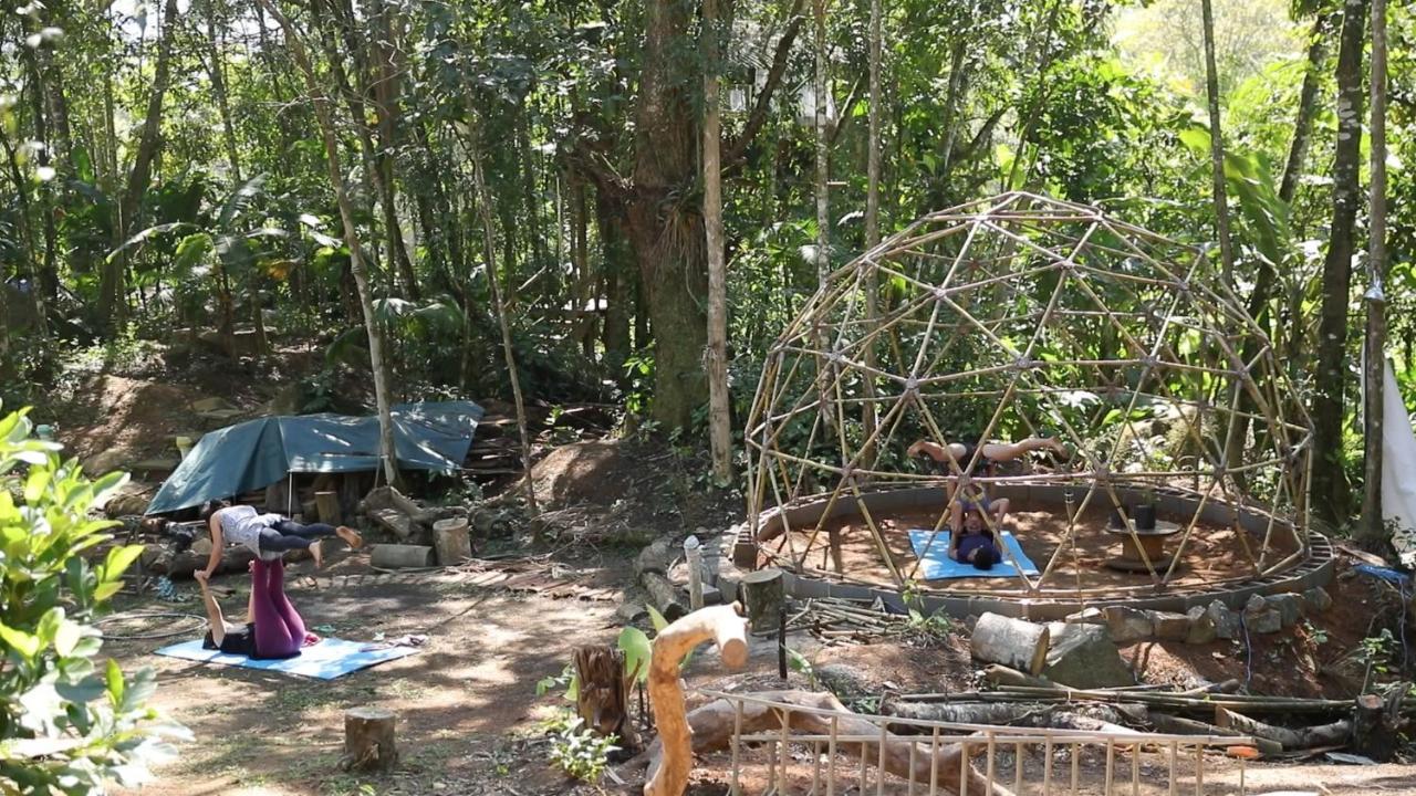 Sitio Simple Life