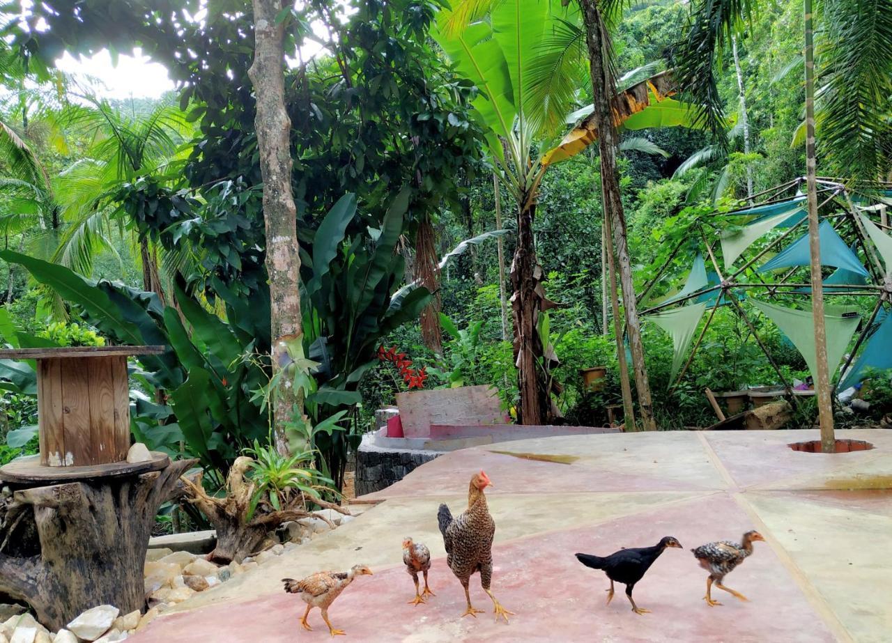 Sitio Simple Life Ubatuba